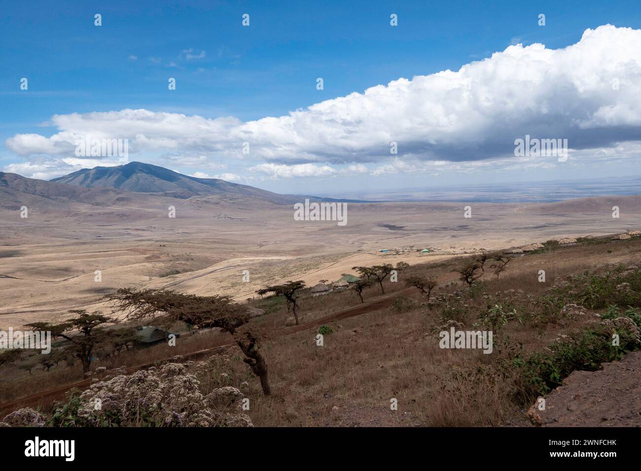Ngorongoro, Tanzania, October 26, 2023. Aerial view of the interior of the crater Stock Photo