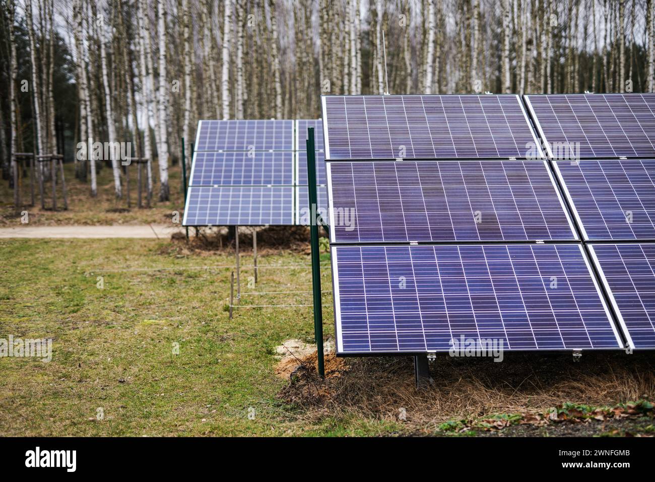 Forest View Panel Photovaoltaic panel hi-res stock photography and images - Alamy