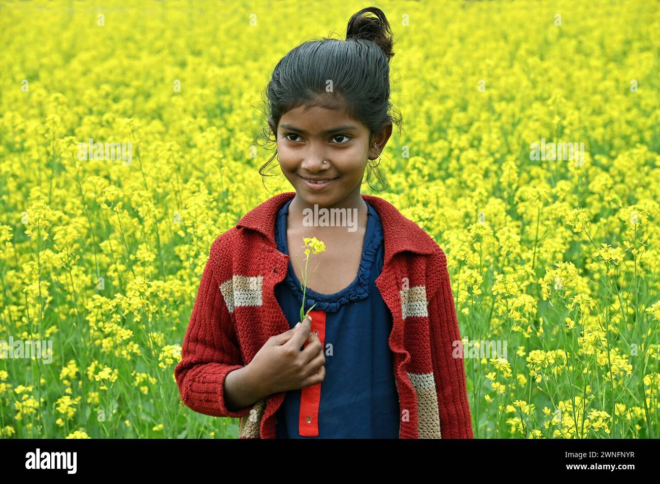 Adolescent girlo hires stock photography and images Alamy