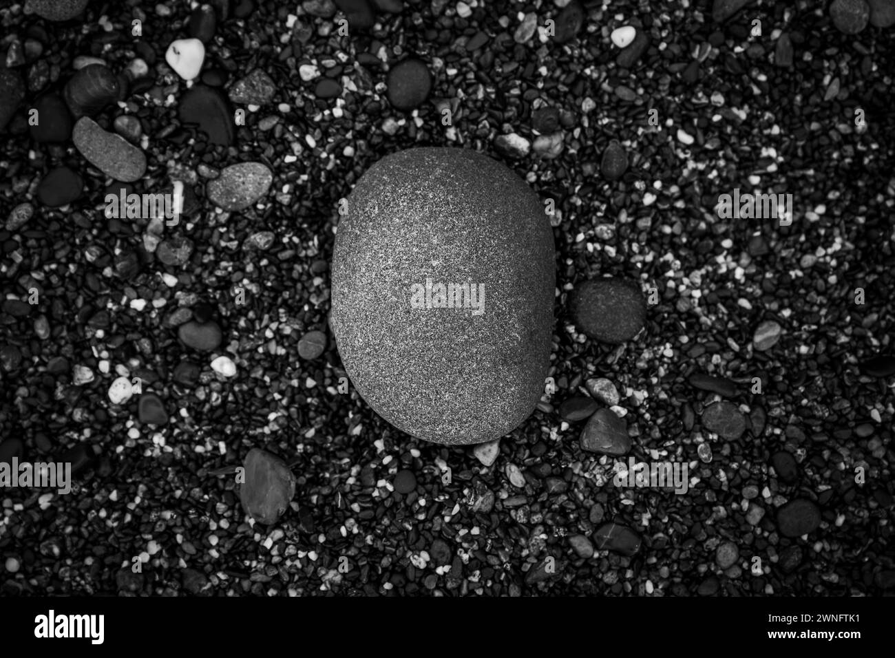 Coast redwood Black and White Stock Photos & Images - Alamy