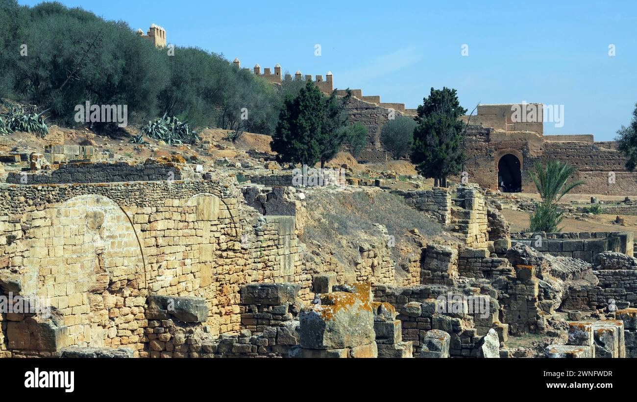 ruins of antique city in desert of Morroco Stock Photo - Alamy
