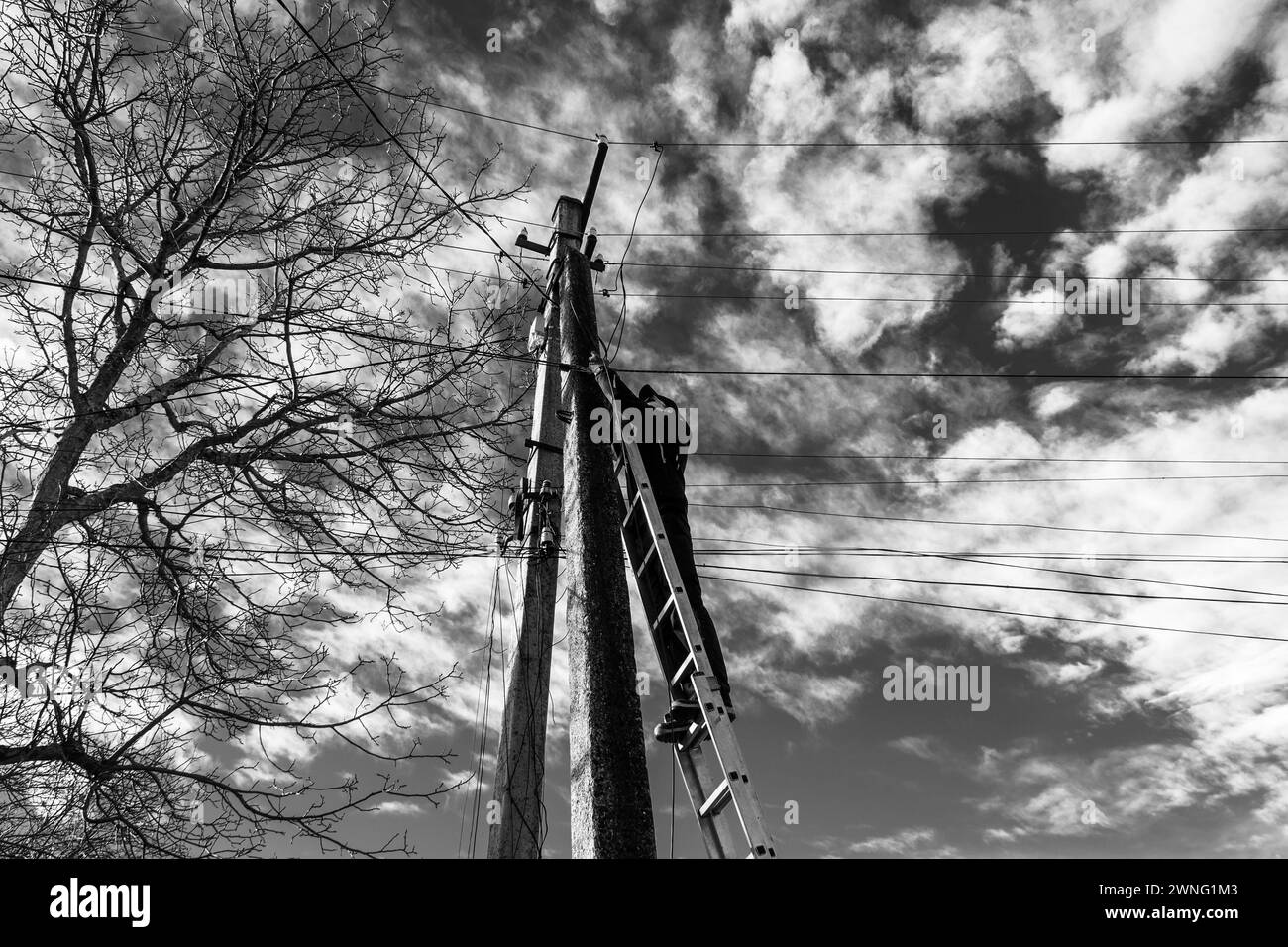 A technician working on a ladder to maintain fiber optic wires attached