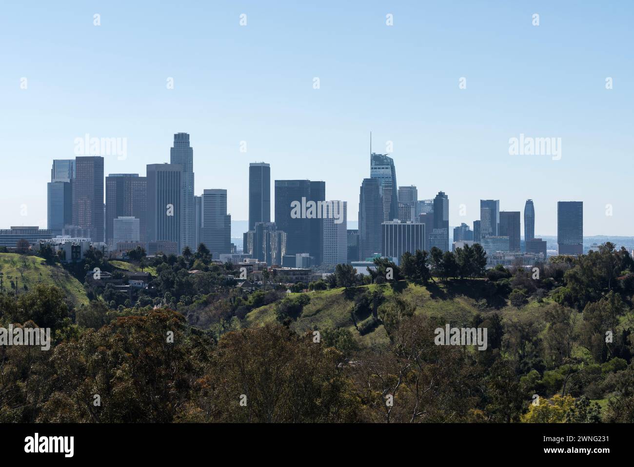 Downtown Los Angeles skyline with Elysian Park hillside in foreground. Stock Photo