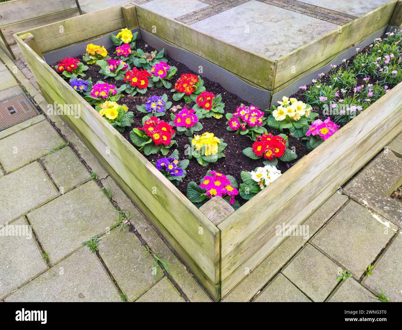 Multi colored flower box hi-res stock photography and images - Alamy