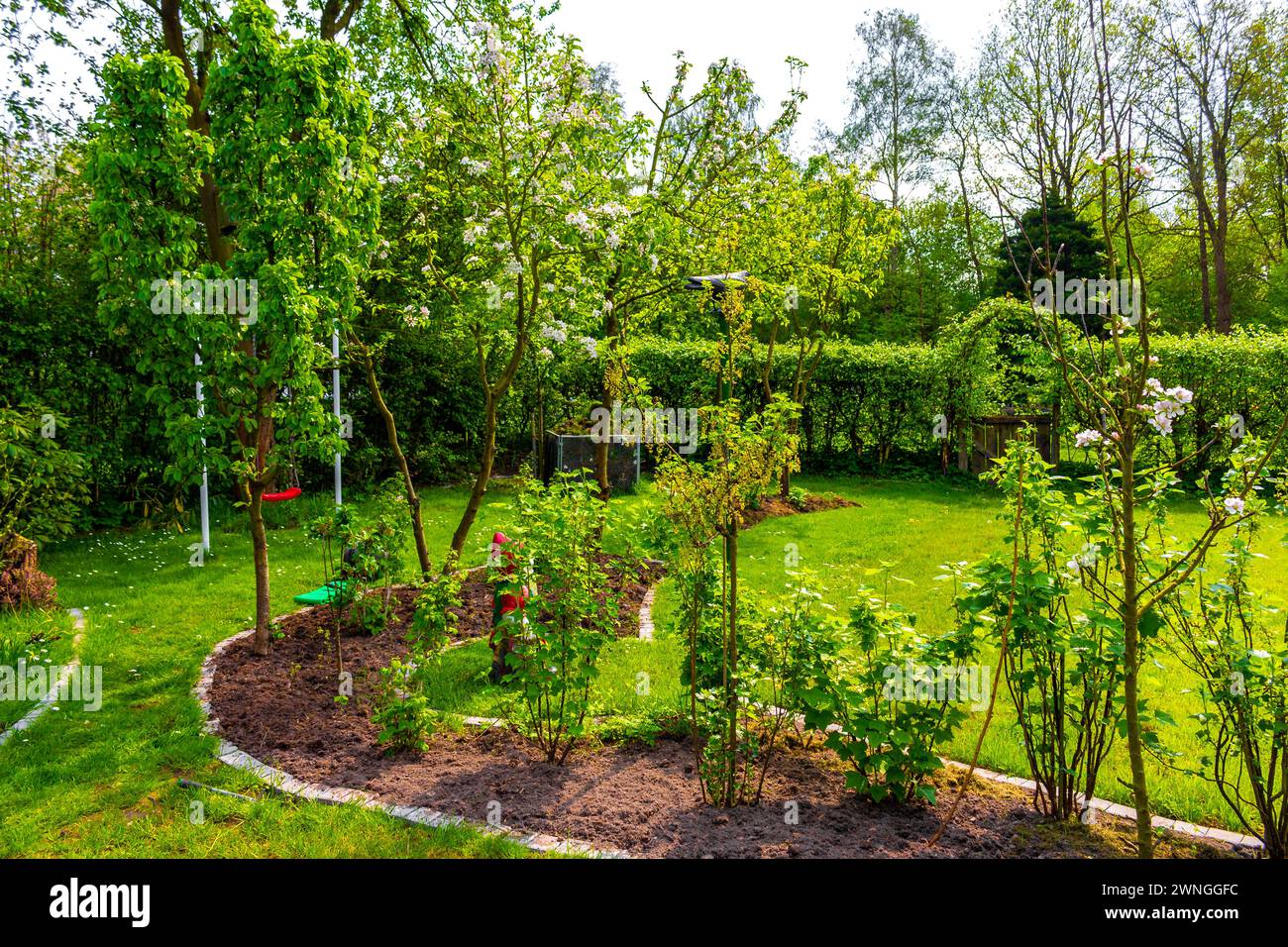 Green Garden with trees plants hut compost beds lawn and barbecue area ...