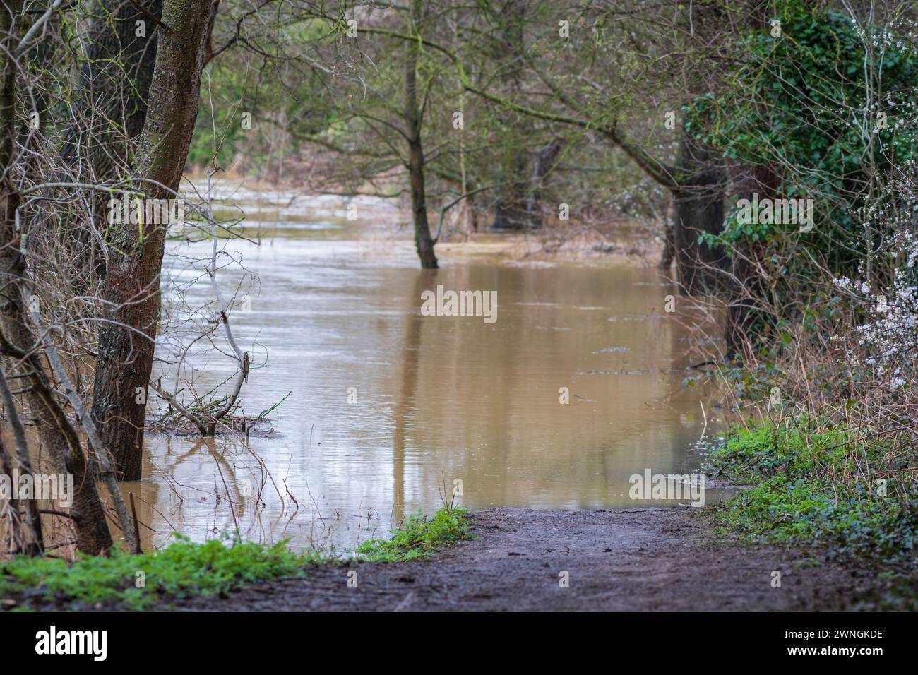 Nene river flooding during heavy rains in Northampton England UK Stock ...
