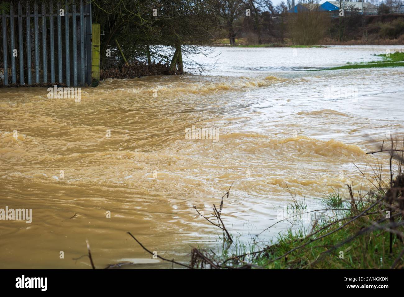 Nene river flooding during heavy rains in Northampton England UK Stock ...