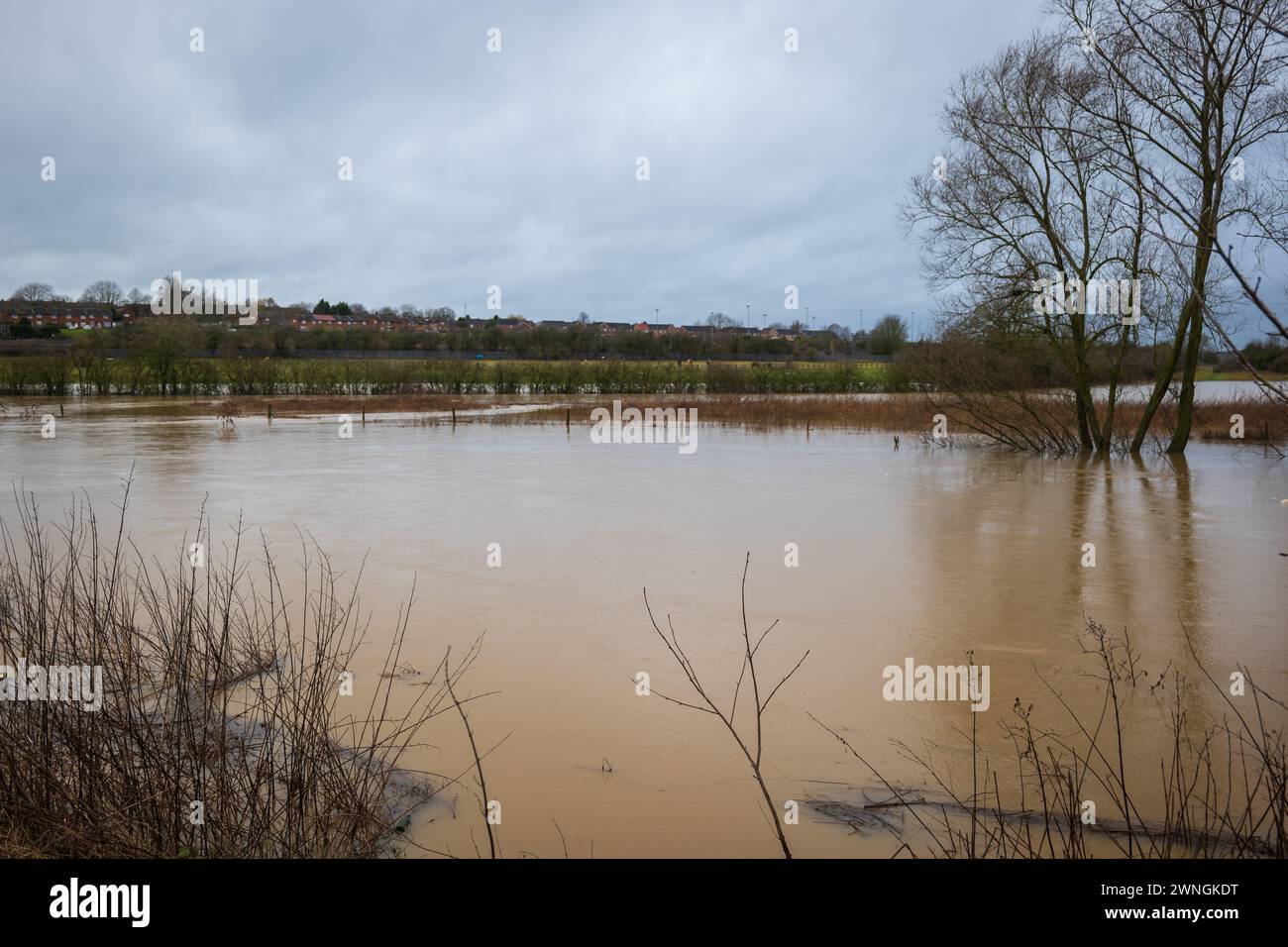 Nene river flooding during heavy rains in Northampton England UK Stock ...