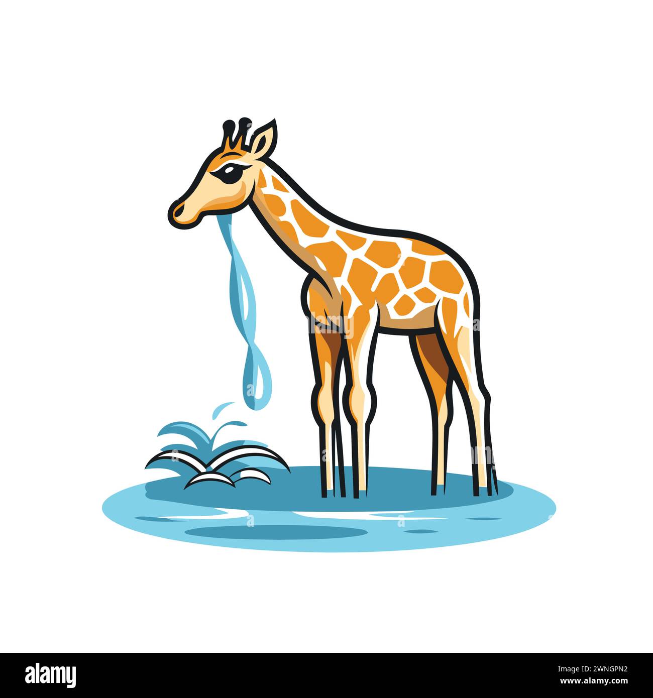 Giraffe drinking water from a puddle. Vector illustration Stock Vector