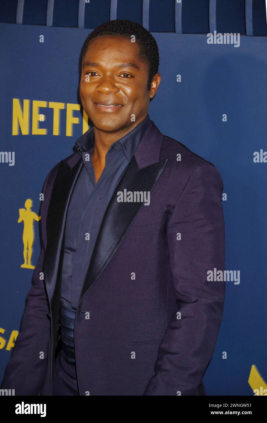LOS ANGELES, CALIFORNIA - FEBRUARY 24: David Oyelowo attends the 30th ...