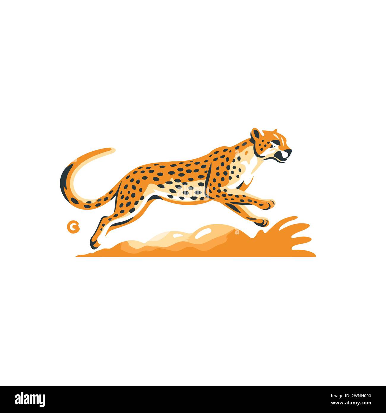 Cheetah running on sand. cheetah vector Illustration on a white
