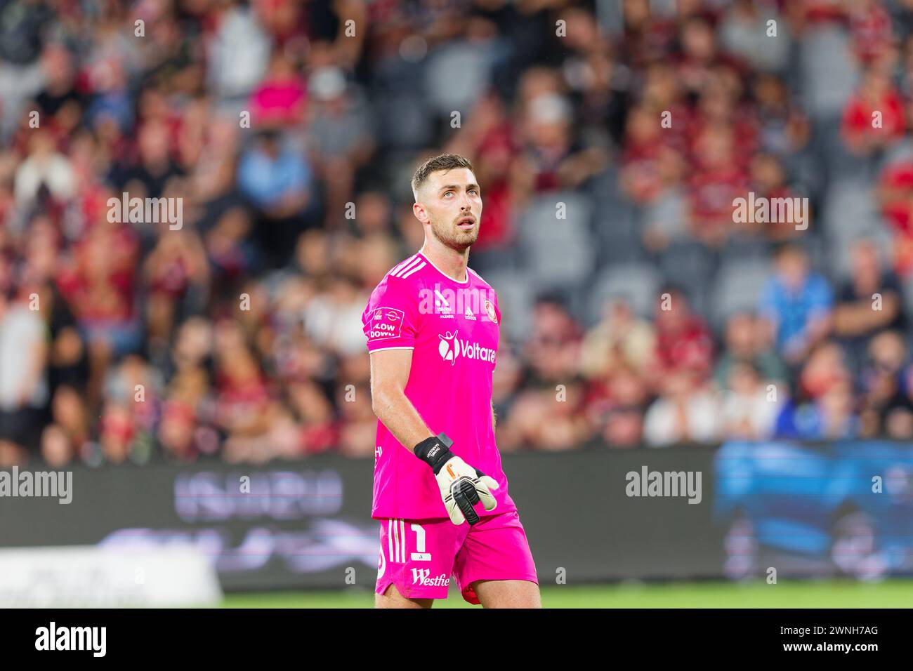 Sydney, Australia. 02nd Mar, 2024. Goalkeeper, Daniel Margush of the Wanderers looks on during the A-League Men Rd19 match between the Wanderers and Sydney FC at CommBank Stadium on March 2, 2024 in Sydney, Australia Credit: IOIO IMAGES/Alamy Live News Stock Photo