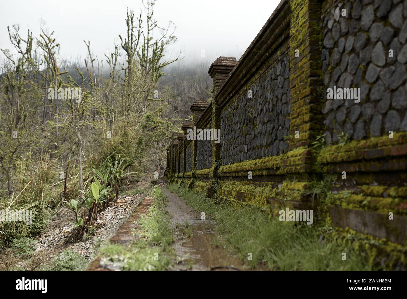 The old stone wall is covered with moss Stock Photo - Alamy
