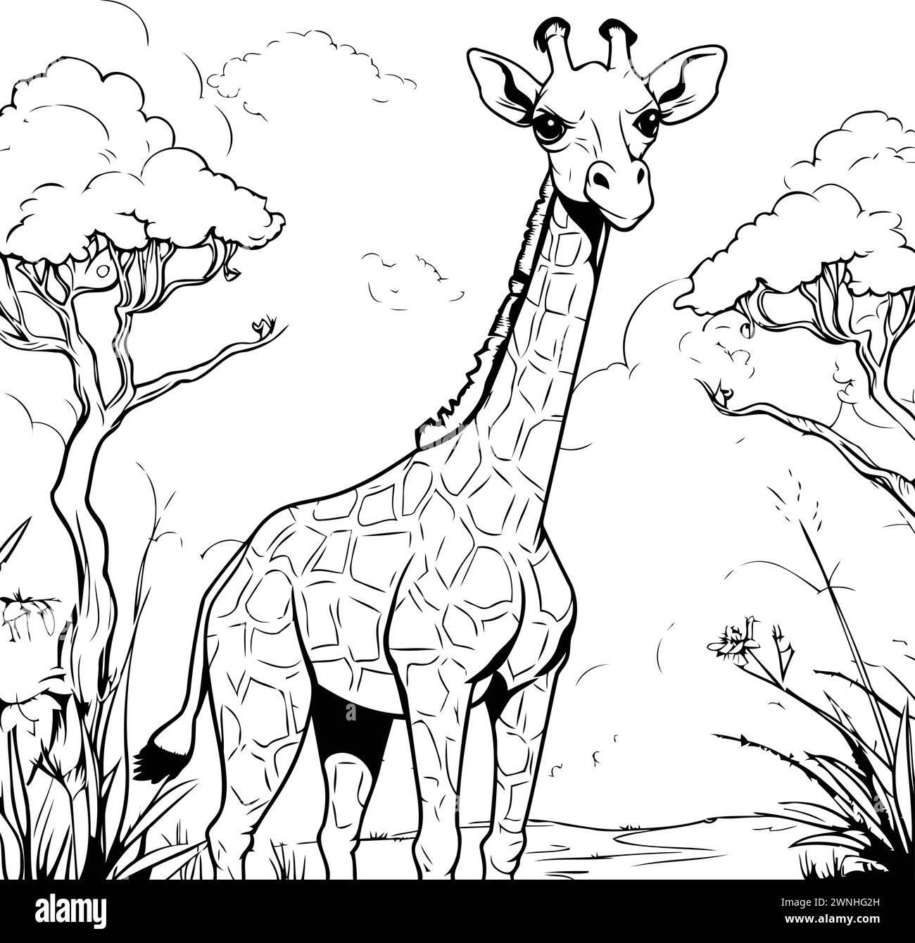 Giraffe in the savanna. Black and white vector illustration Stock