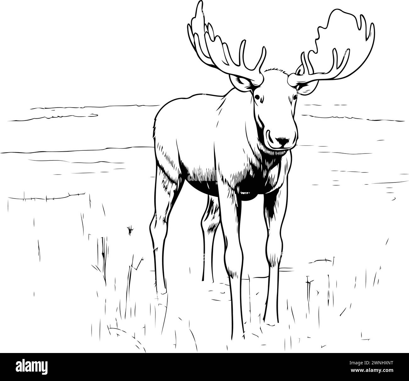 Elk cartoon Black and White Stock Photos & Images - Alamy