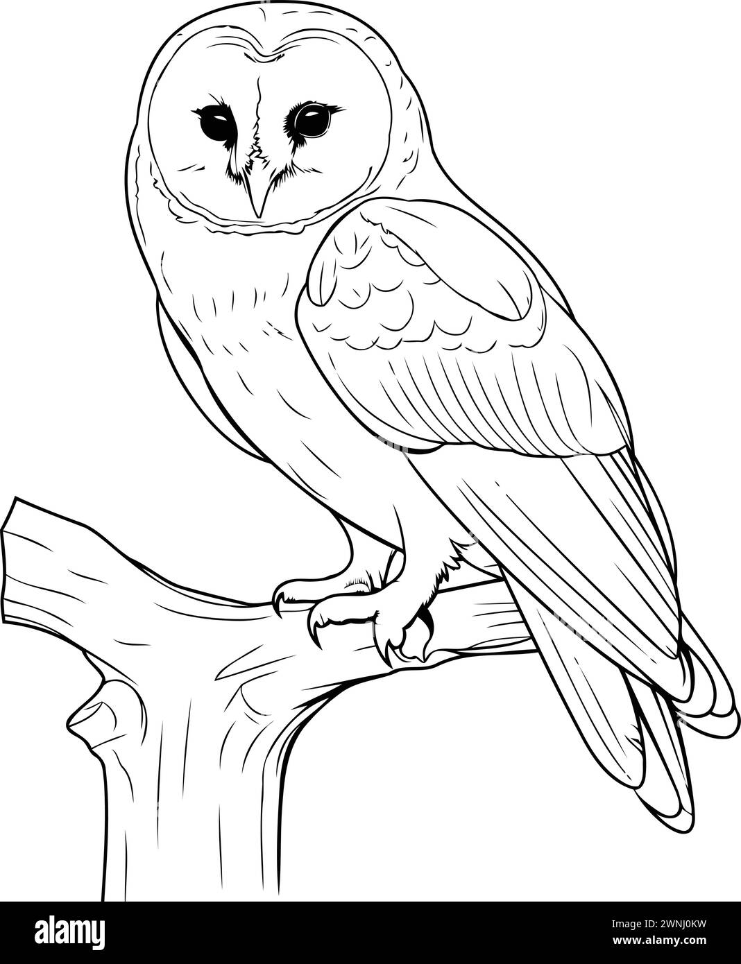 Owl on a book Black and White Stock Photos & Images - Alamy