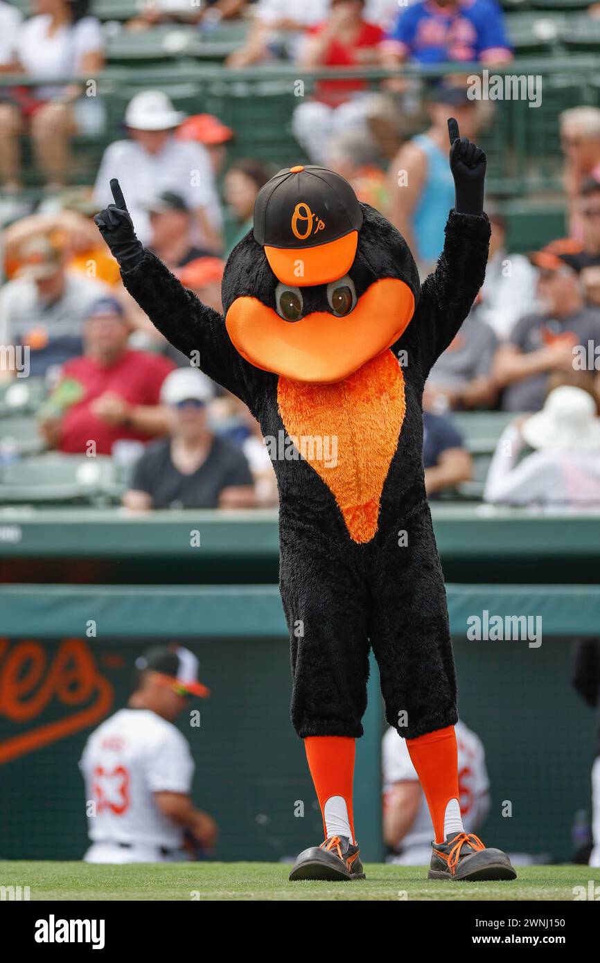 Sarasota FL USA; Baltimore Orioles mascot Bird entertains the fans