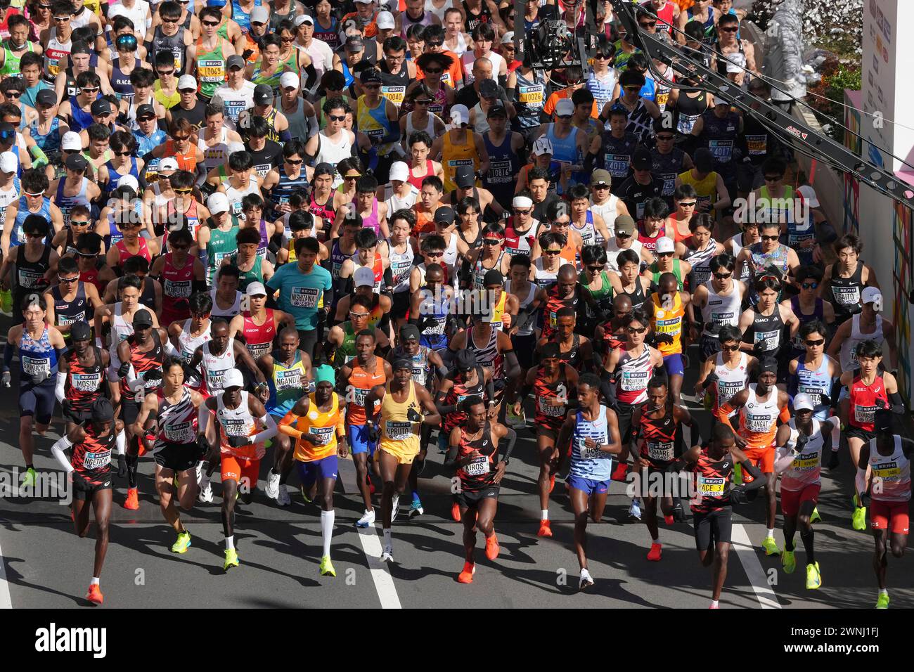 Runners start at Tokyo Marathon 2024 at Tokyo Metropolitan Government ...