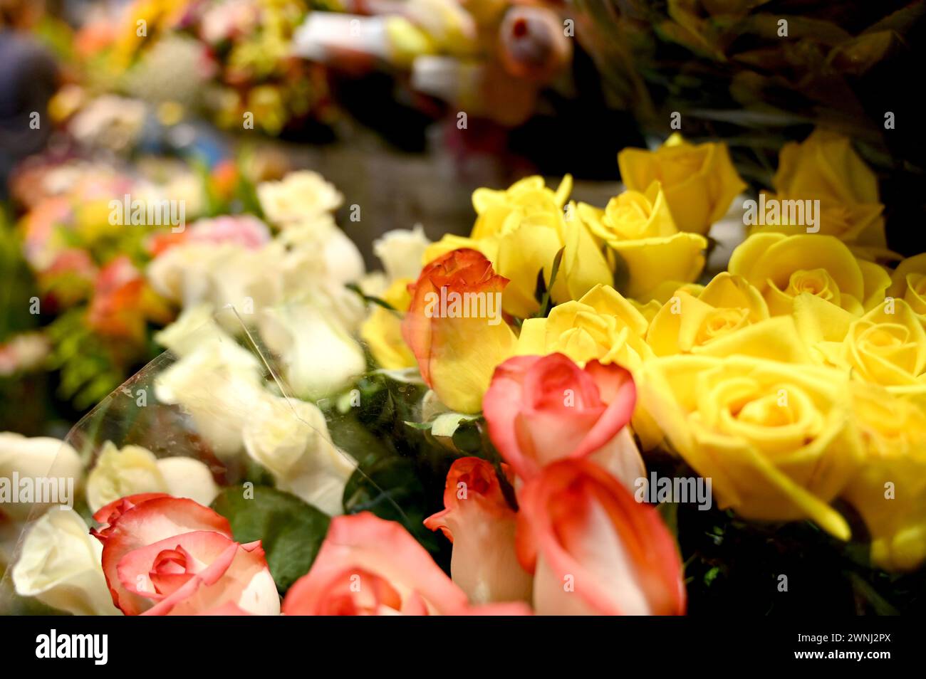 SAN JOSE, COSTA RICA: The stalls at San José Central Market are filled ...