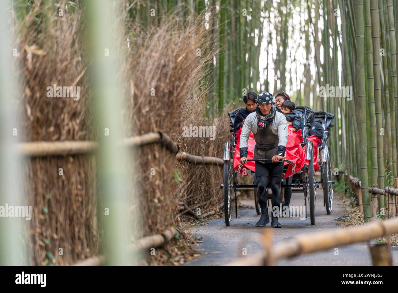 Arashiyama, Kyoto, Japan - Feb 24 2024 : Tourists enjoying the rickshaw ...