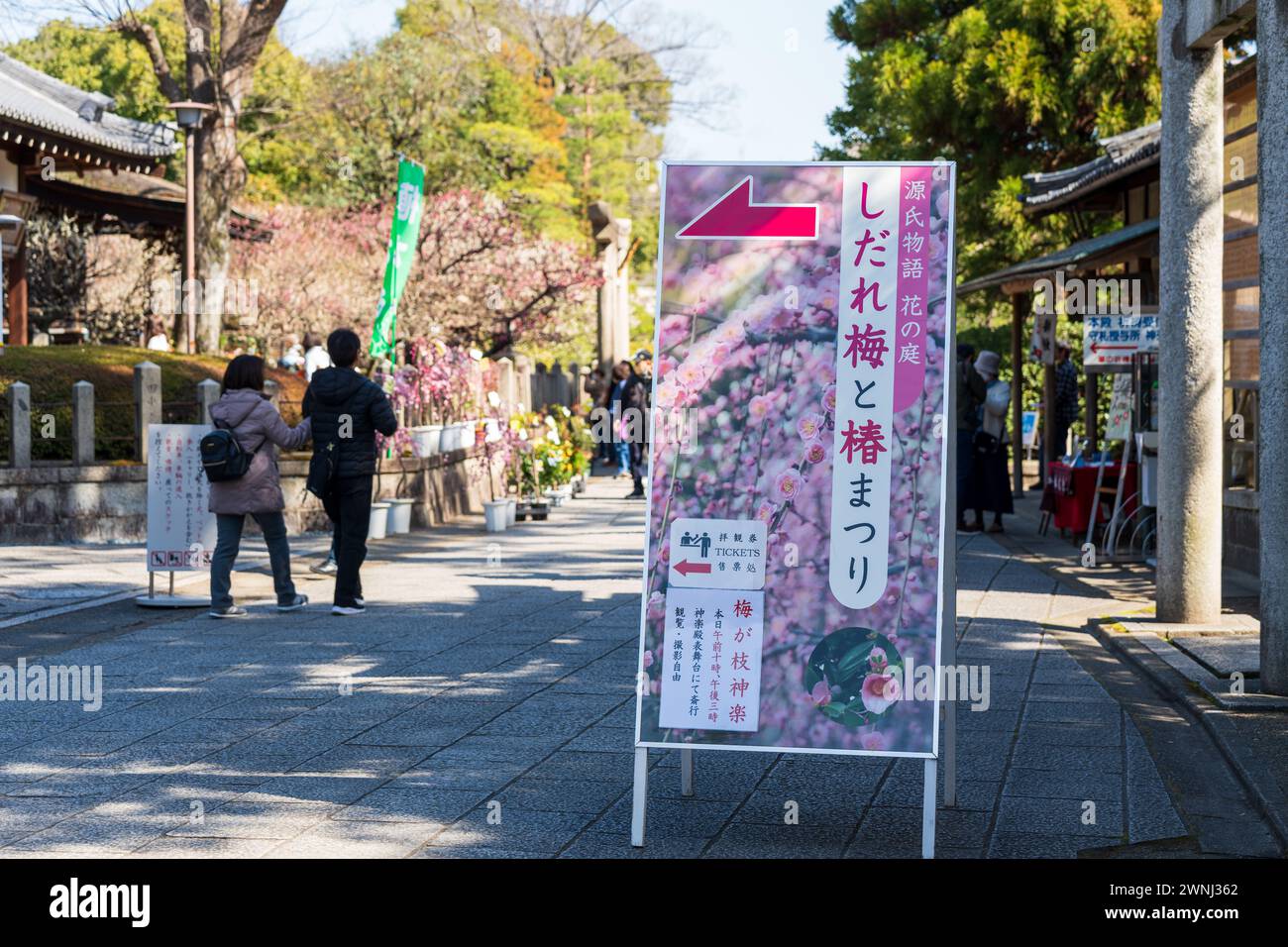 Kyoto, Japan - Feb 28 2024 : Crowds of people in Jonangu Shrine Weeping Plum and Camellia Festival. Stock Photo