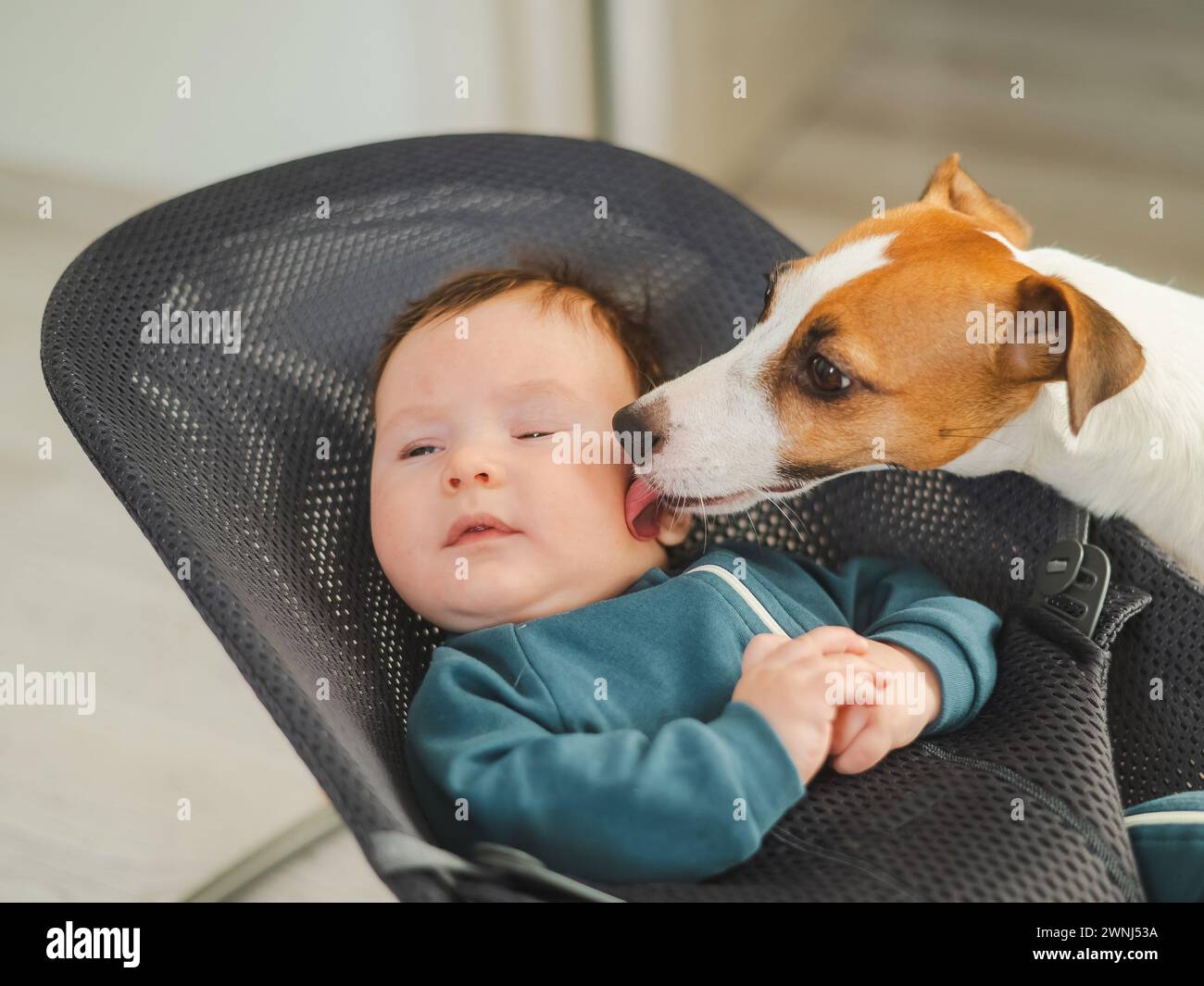 A dog licks the face of a cute threemonthold boy dressed in blue