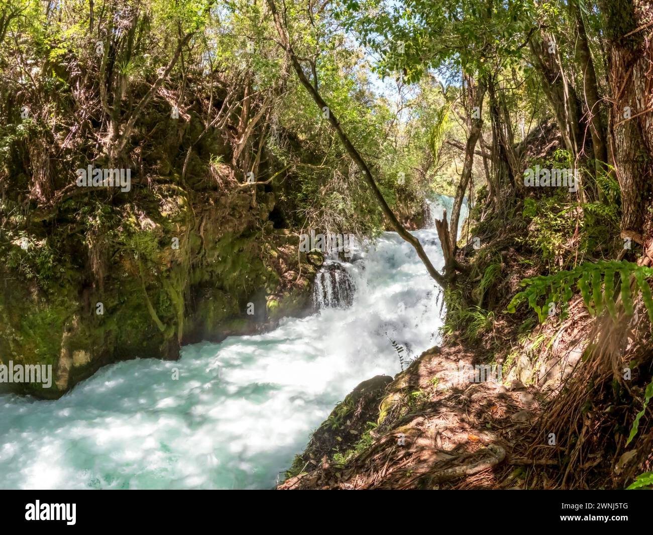 Tarawera cascades hi-res stock photography and images - Alamy