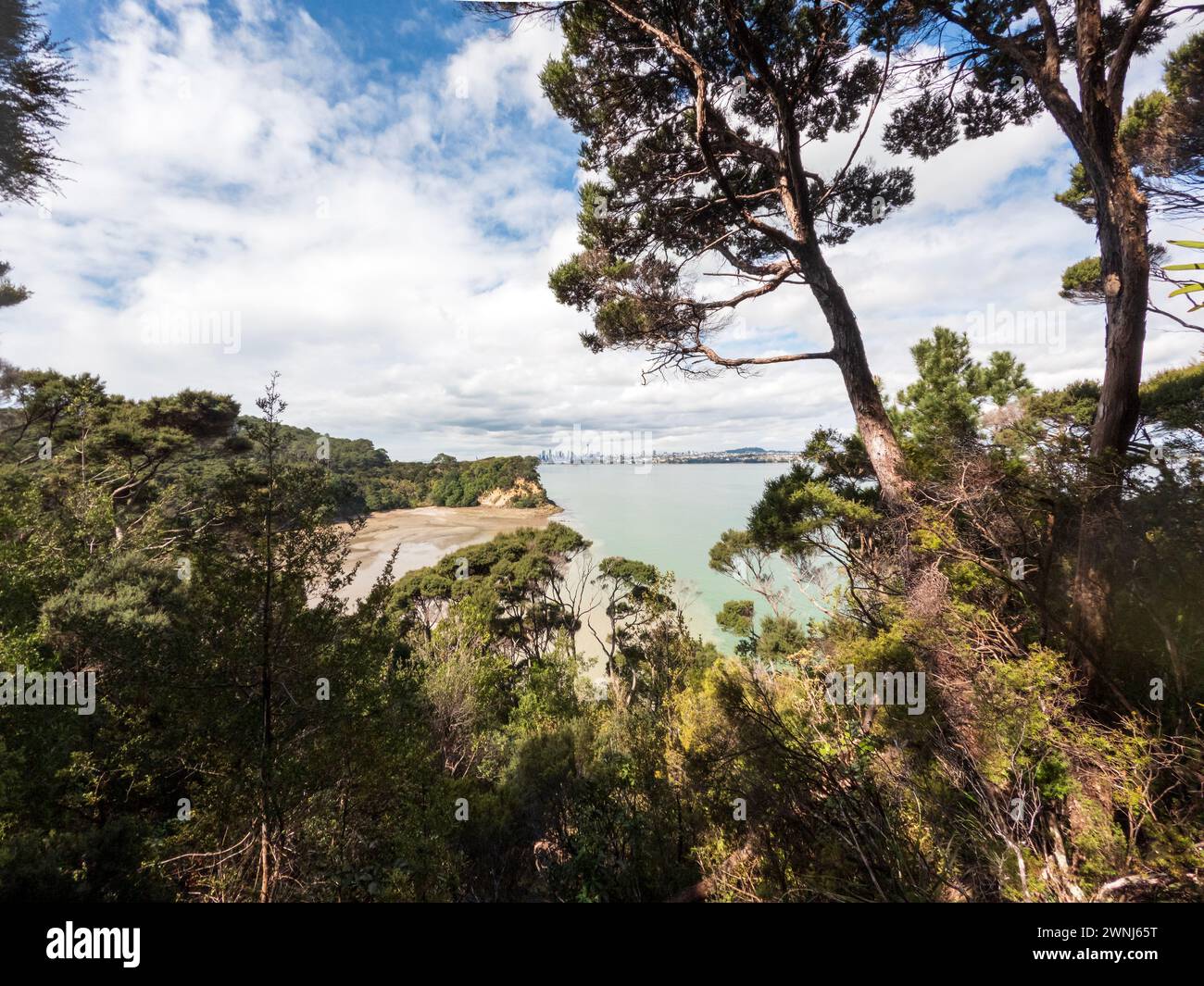 Birkenhead in New Zealand Tranquil Landscape Auckland Coastal View