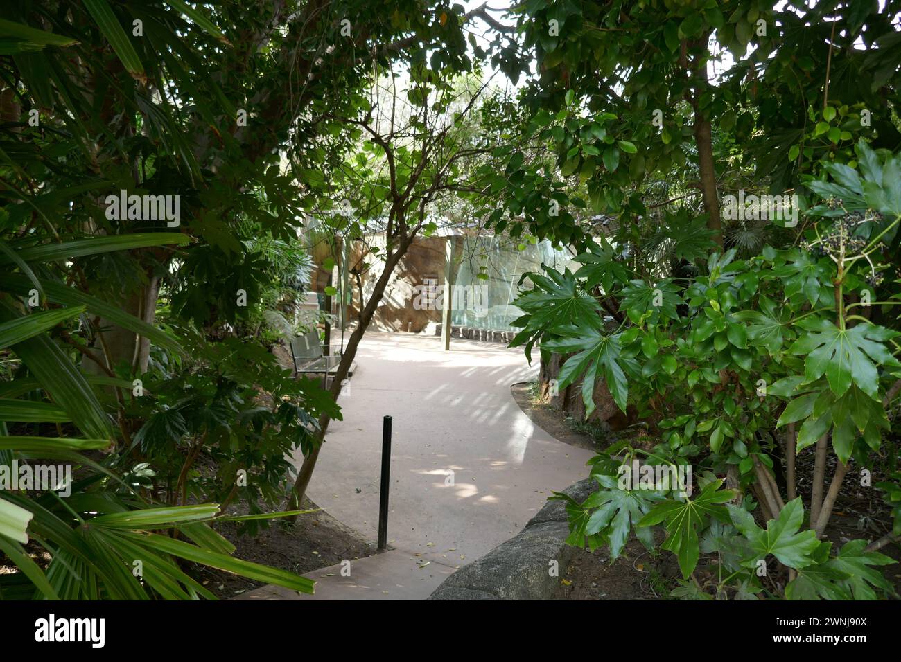 Los Angeles, California, USA 29th February 2024 at LA Zoo on February