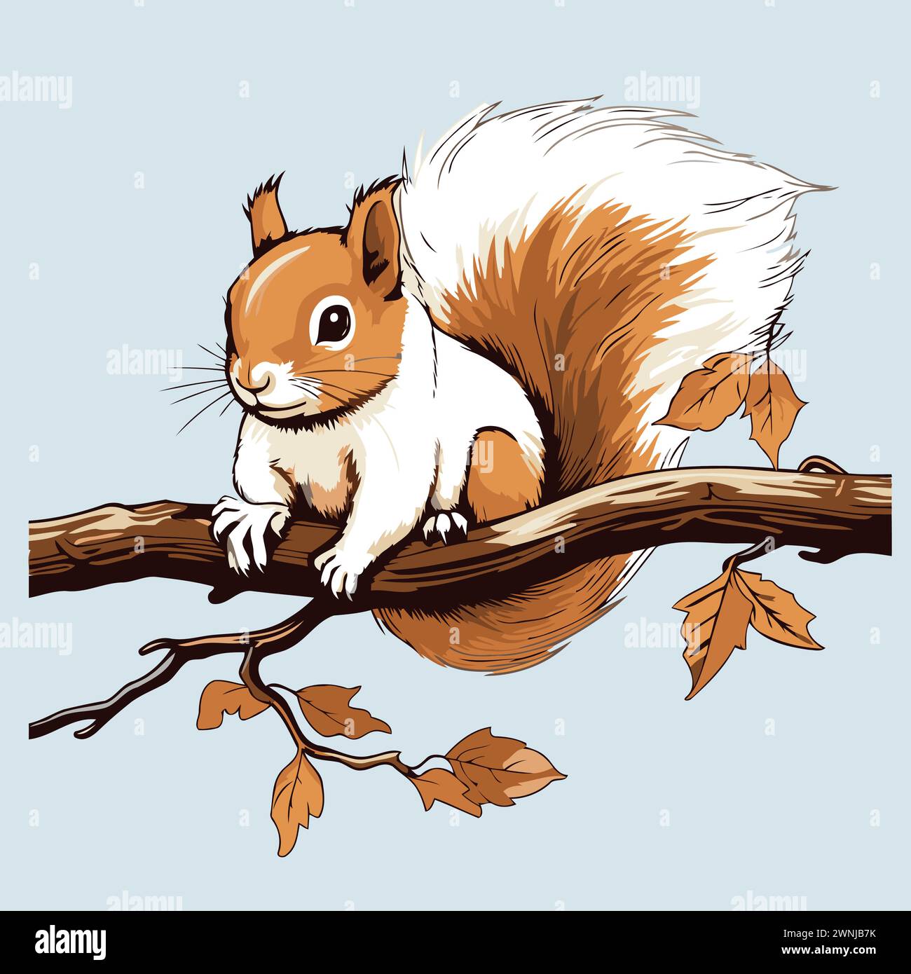 Squirrel sitting on tree branch Stock Vector Images - Alamy