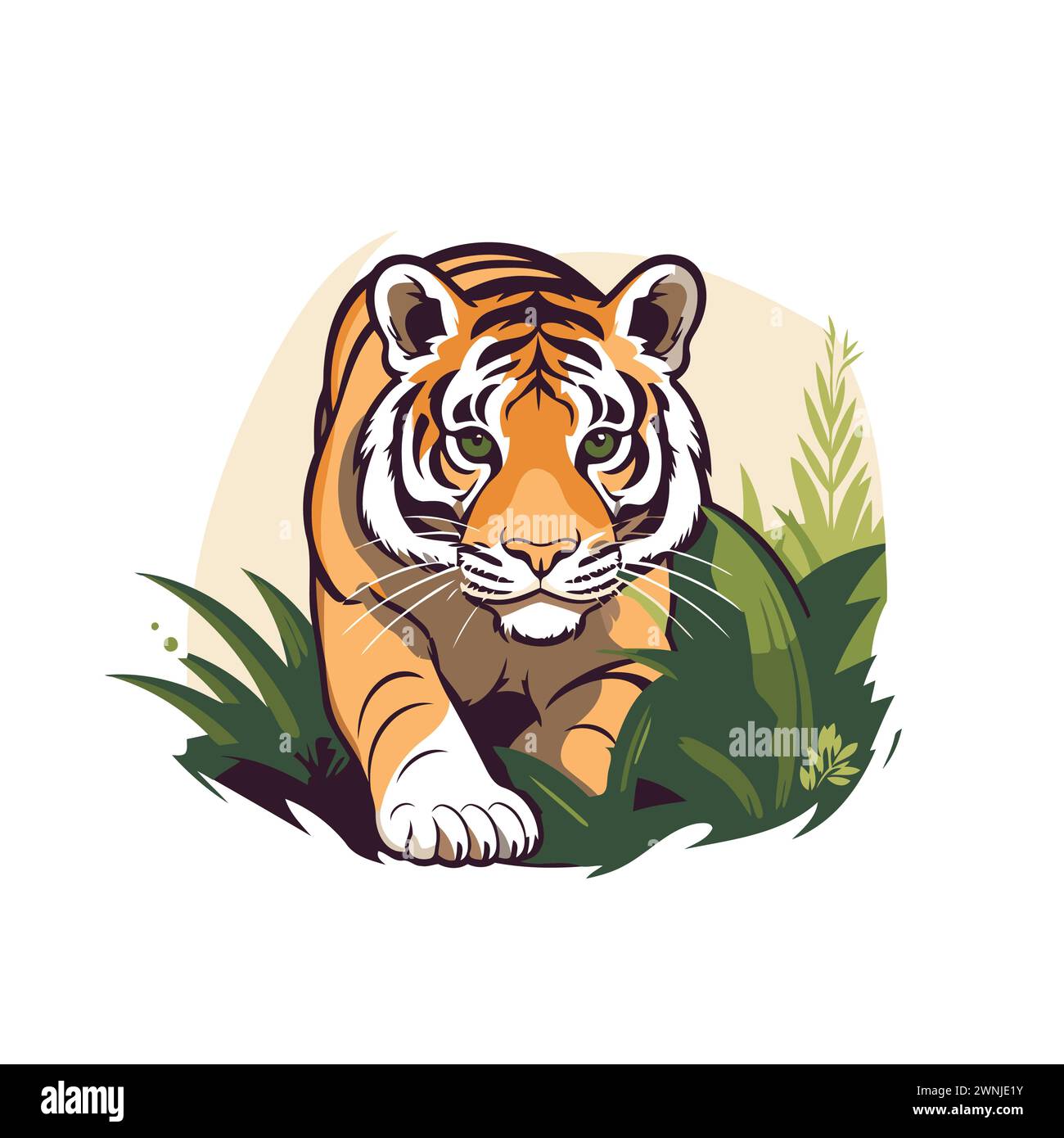 Vector illustration of a tiger on white background. Wild animal in the ...