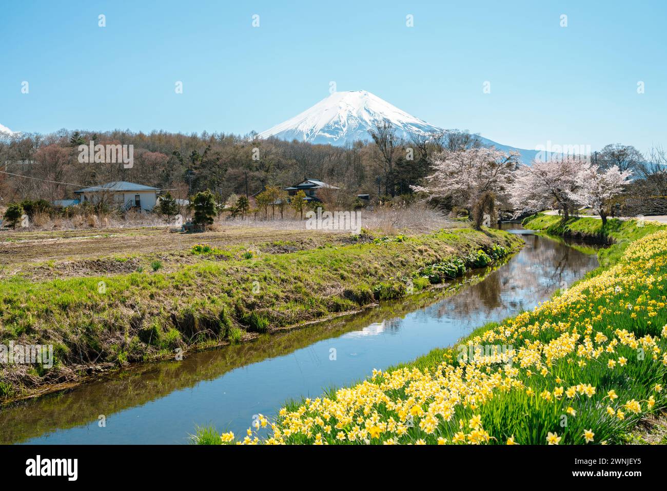 Spring Of Oshino Hakkai Countryside Village And Fuji Mountain In 