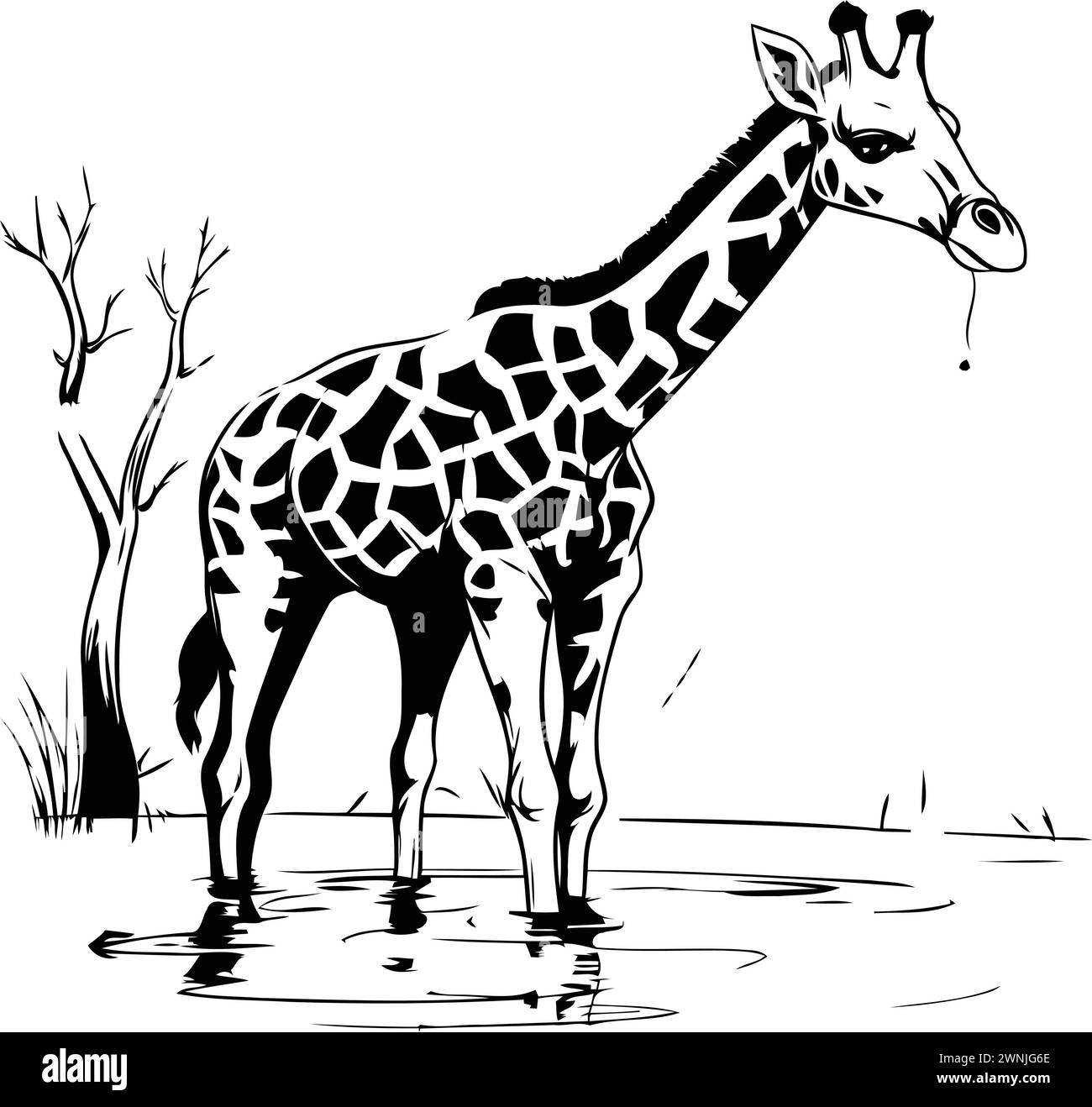 Giraffe in the wild. Vector illustration of a giraffe Stock Vector ...