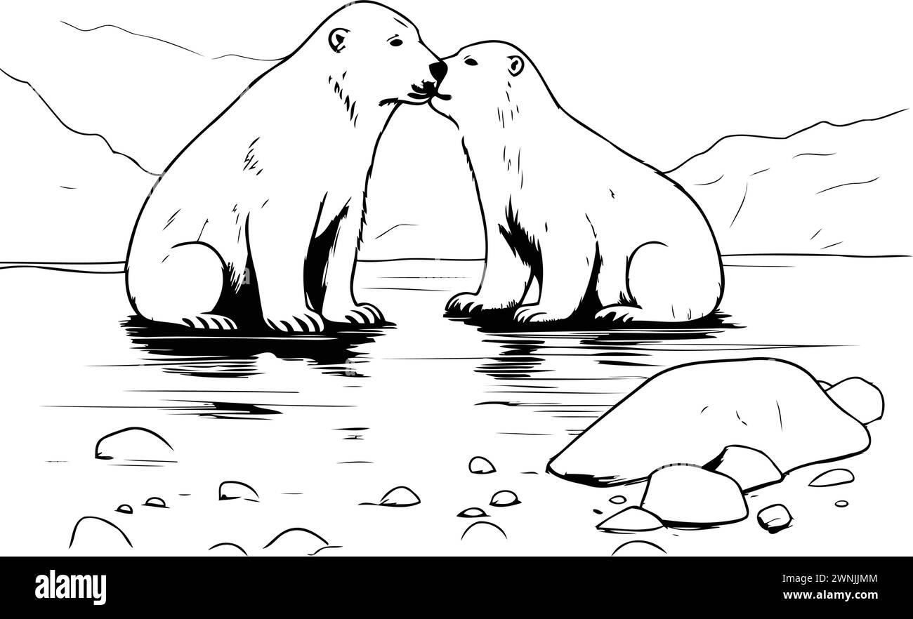 Polar bears. Vector illustration of two polar bears on the river Stock