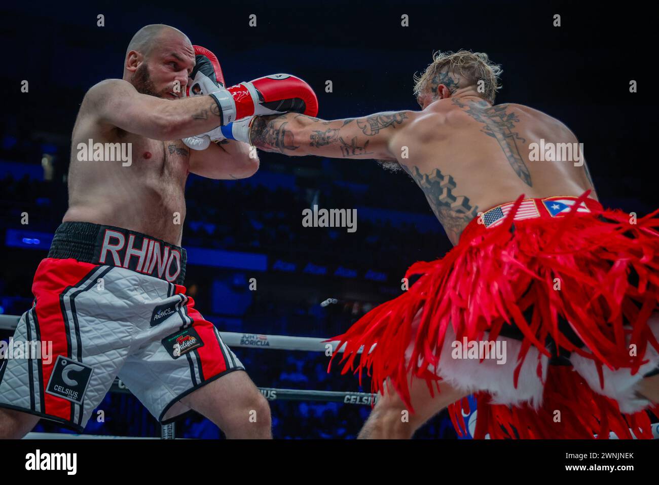 San Juan, Puerto Rico. 02nd Mar, 2024. Boxing: Cruiserweight, men, Paul (USA) - Bourland (USA). Jake Paul and Ryan Bourland in action. Credit: Kendall Torres/dpa/Alamy Live News Stock Photo
