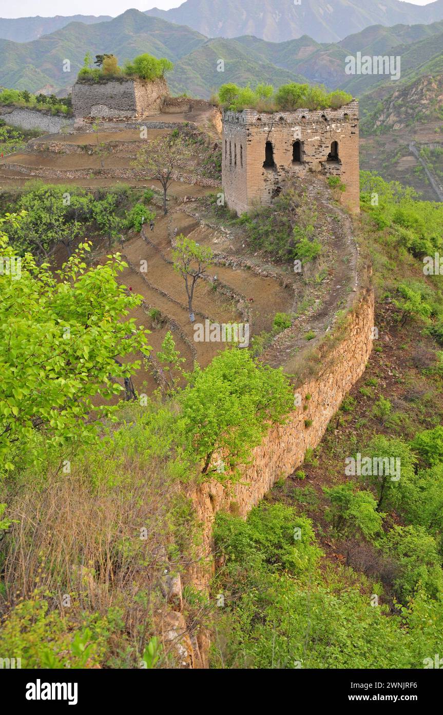 Ancient ecological wall, north China, elm ridge, the Great Wall Stock Photo