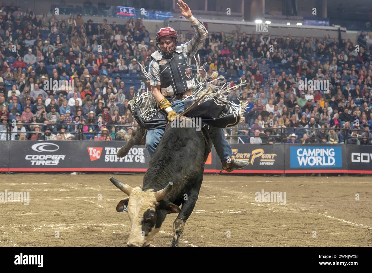 Bridgeport, United States. 02nd Mar, 2024. BRIDGEPORT, CONNECTICUT - MARCH 02: Eder Barbosa rides Joker during the Professional Bull Riders (PBR) Pendleton Whisky Velocity Tour event at Total Mortgage Arena on March 2, 2024 in Bridgeport, Connecticut. Credit: Ron Adar/Alamy Live News Stock Photo
