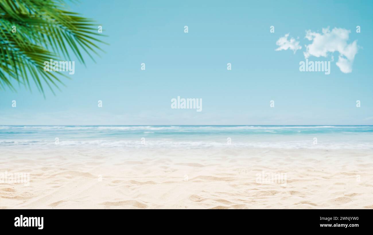 Sunny tropical beach background with palm trees, sand and ocean waves ...