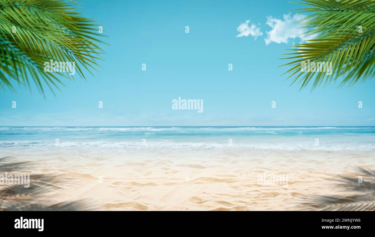 Sunny tropical beach background with palm trees, sand and ocean waves ...