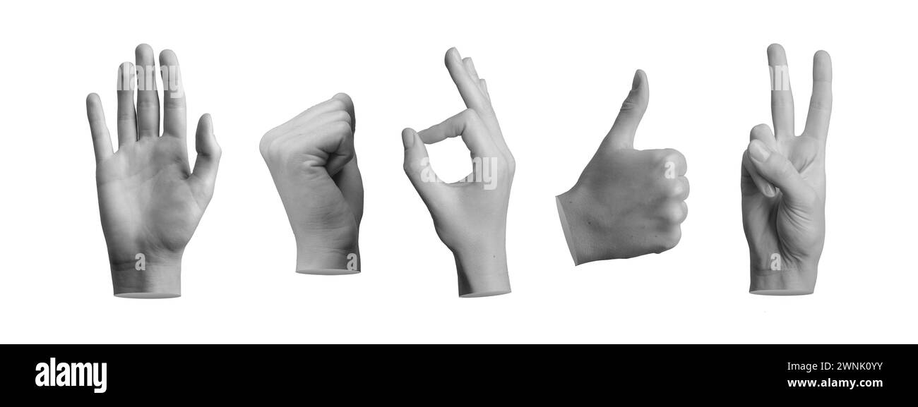 Hand gestures set. Hi, greeting, fist up, okay, thumb up, victory expressions isolated on white. Stock Photo