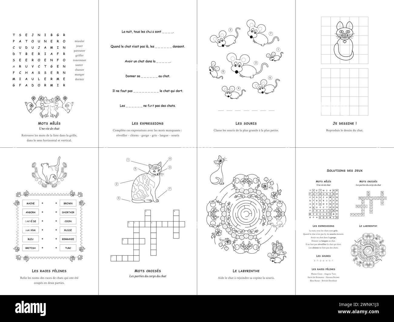 Set of seven games. Cats Theme. French language. Vector illustration