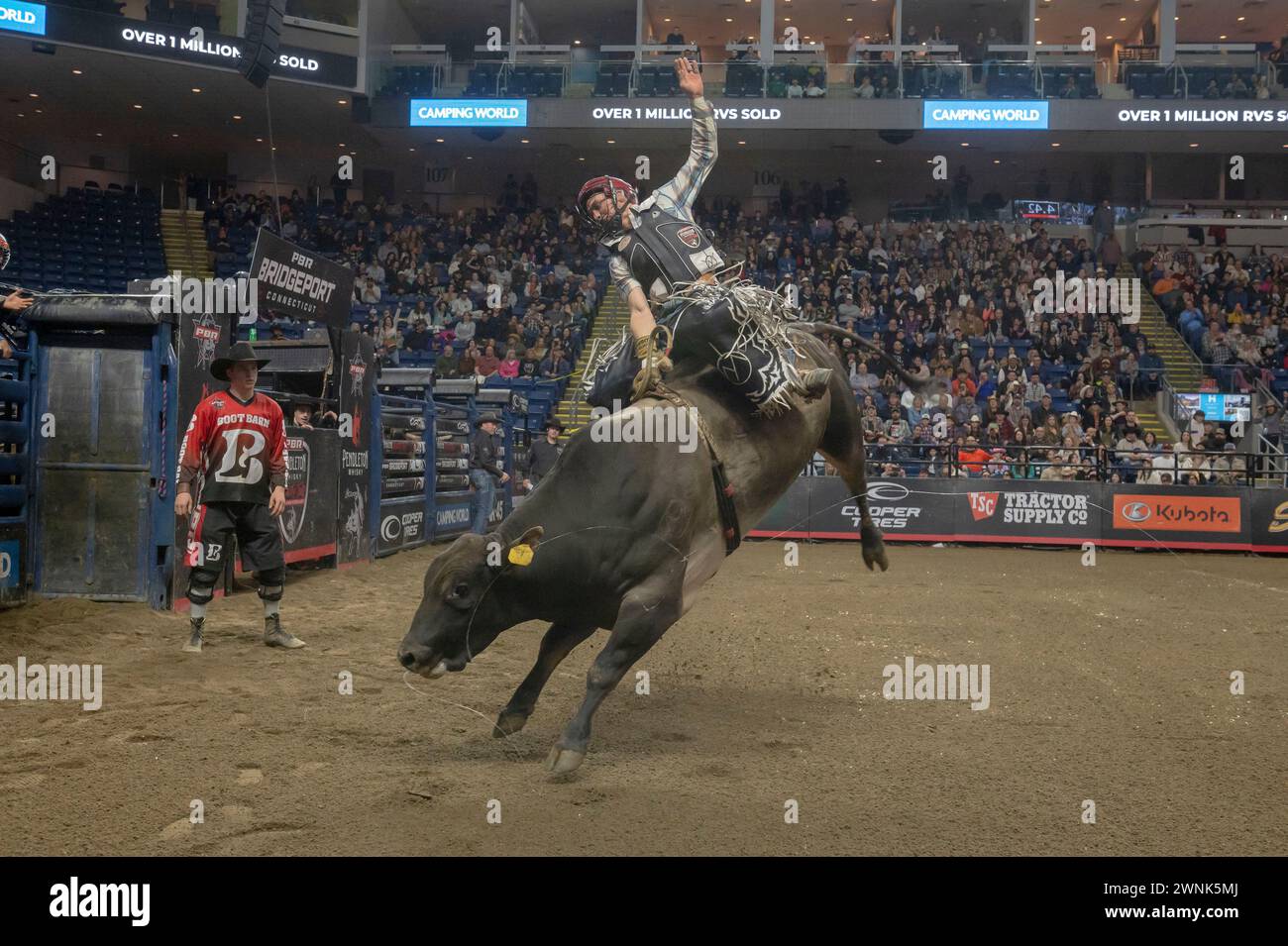 Bridgeport, United States. 02nd Mar, 2024. BRIDGEPORT, CONNECTICUT - MARCH 02: Eder Barbosa rides Comanchero during the Professional Bull Riders (PBR) Pendleton Whisky Velocity Tour event at Total Mortgage Arena on March 2, 2024 in Bridgeport, Connecticut. Credit: SOPA Images Limited/Alamy Live News Stock Photo
