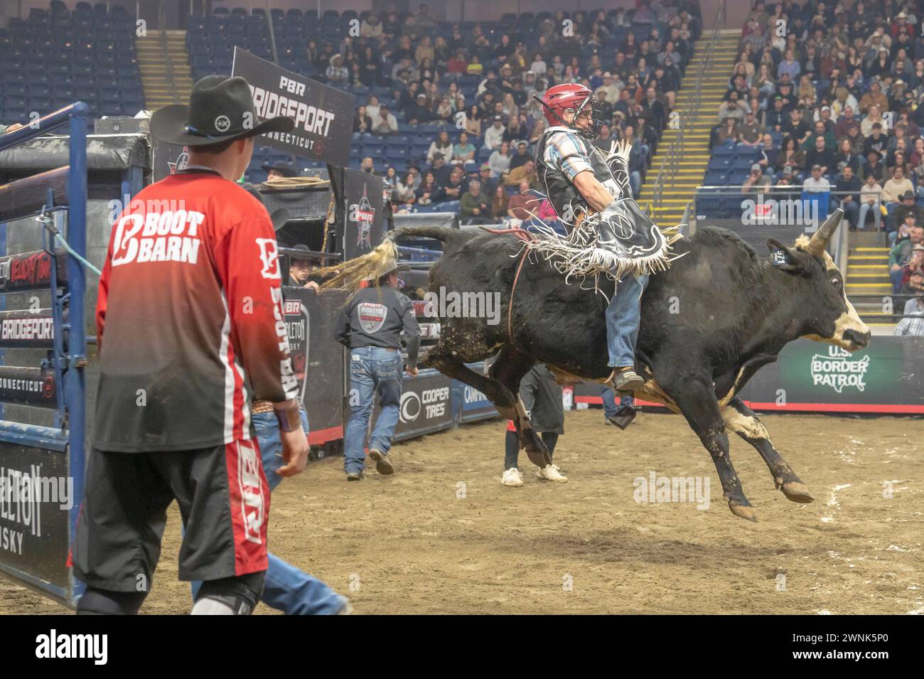 Bridgeport, United States. 02nd Mar, 2024. BRIDGEPORT, CONNECTICUT - MARCH 02: Eder Barbosa rides Joker during the Professional Bull Riders (PBR) Pendleton Whisky Velocity Tour event at Total Mortgage Arena on March 2, 2024 in Bridgeport, Connecticut. Credit: SOPA Images Limited/Alamy Live News Stock Photo