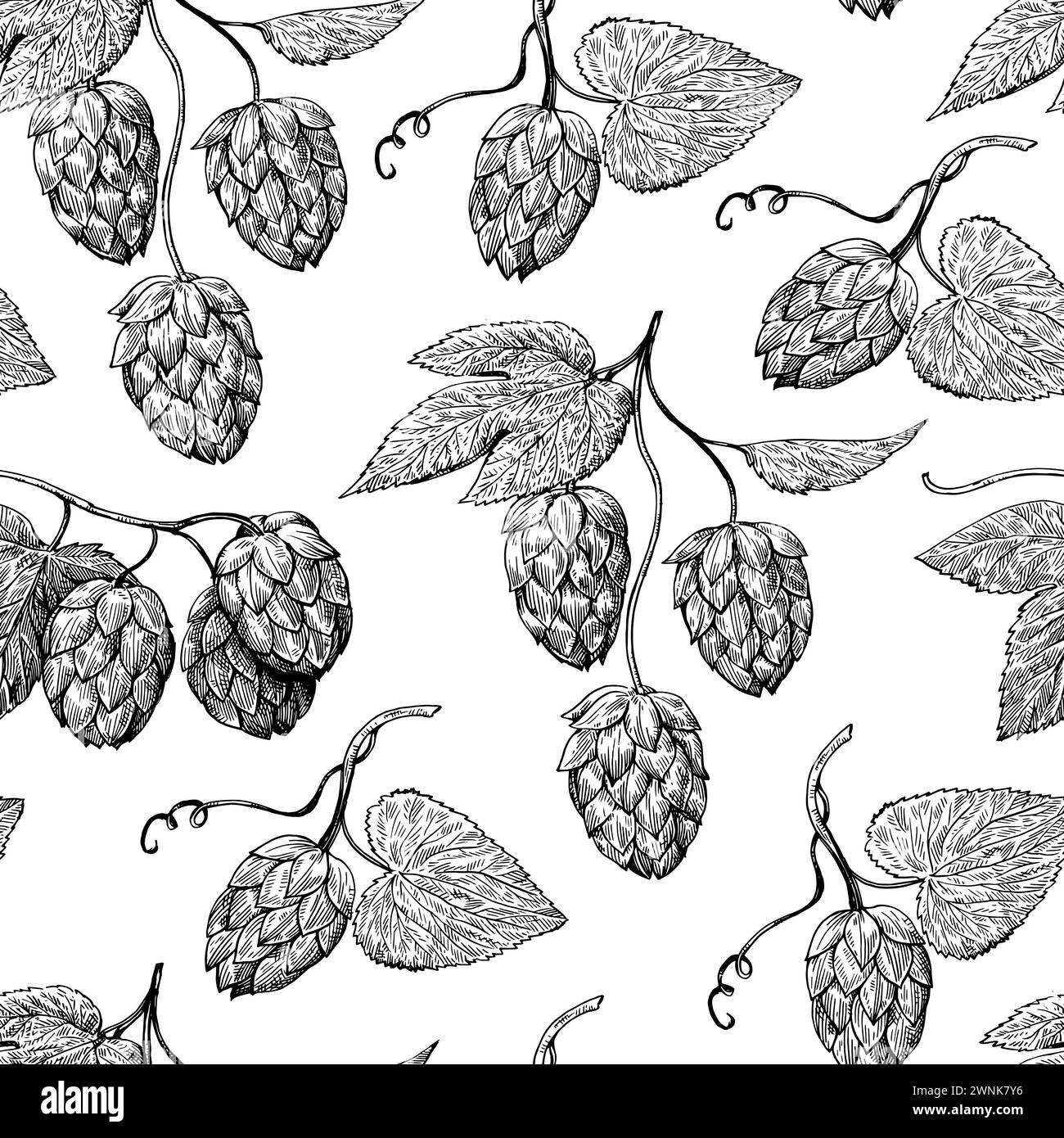 Seamless pattern with hop cones in vintage engraving style. Hand-drawn ...