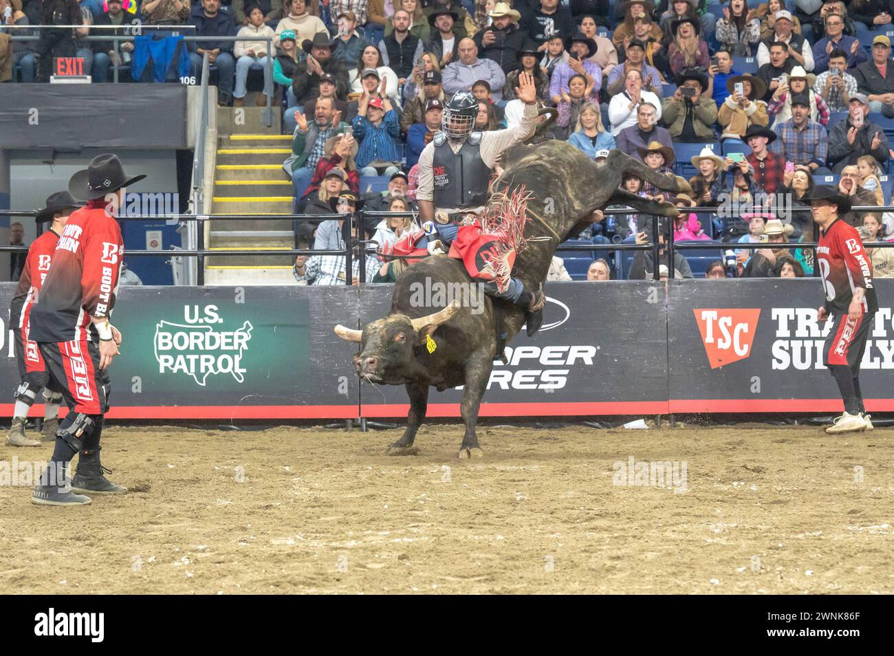 Bridgeport, Connecticut, USA. 2nd Mar, 2024. (NEW) 2024 Professional Bull Riders Pendleton Whisky Velocity Tour in Bridgeport, Connecticut. (Credit: M10s/TheNews2) March 2, 2024, New York, New York, USA: Bull Riders compete during the Professional Bull Riders (PBR) Pendleton Whisky Velocity Tour event at Total Mortgage Arena on March 2, 2024 in Bridgeport, Connecticut. (Credit: M10s/TheNews2) (Foto: M10s/Thenews2/Zumapress) (Credit Image: © Ron Adar/TheNEWS2 via ZUMA Press Wire) EDITORIAL USAGE ONLY! Not for Commercial USAGE! Stock Photo