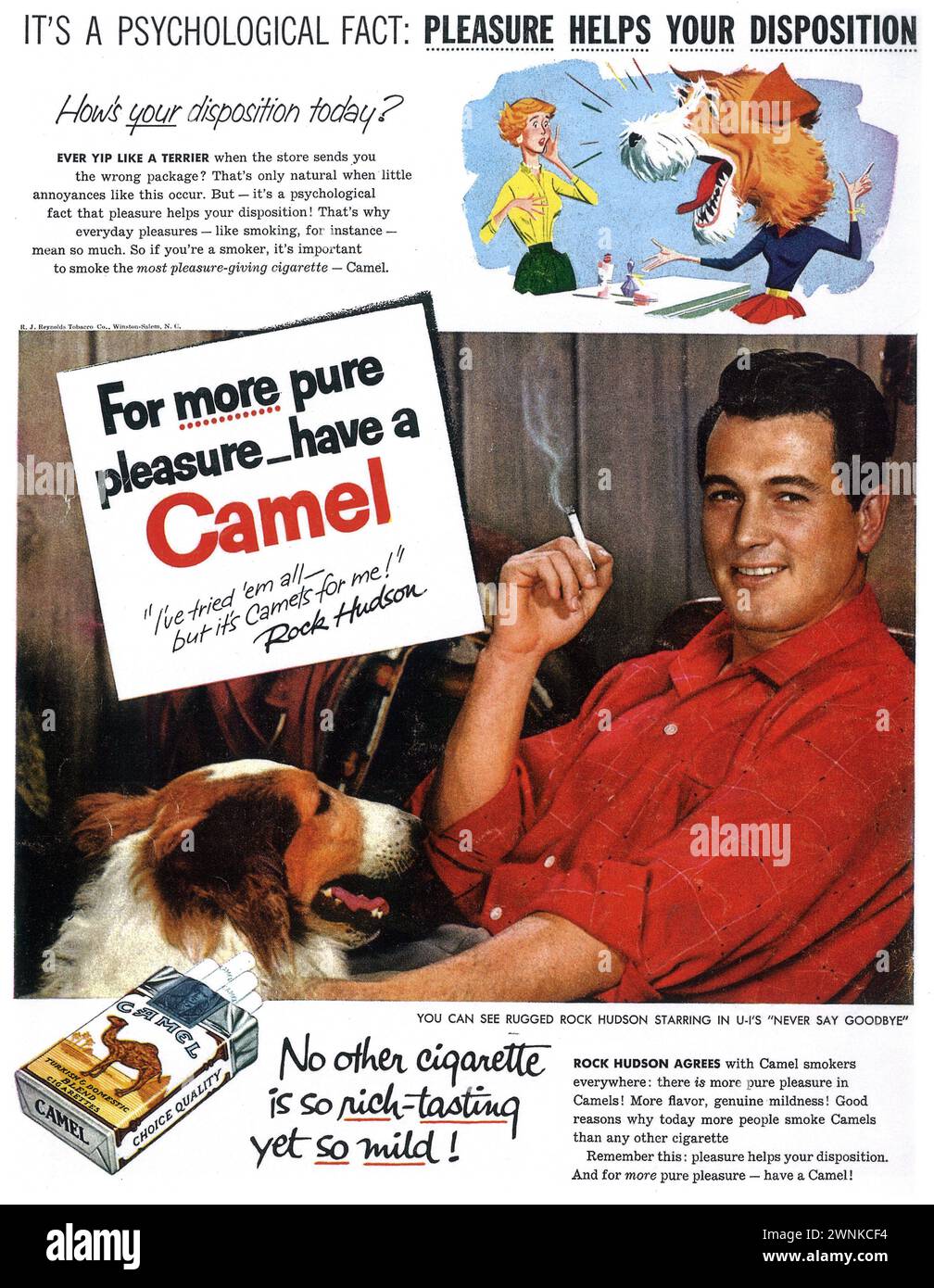 1956 Camel cigarettes print ad with Rock Hudson Stock Photo