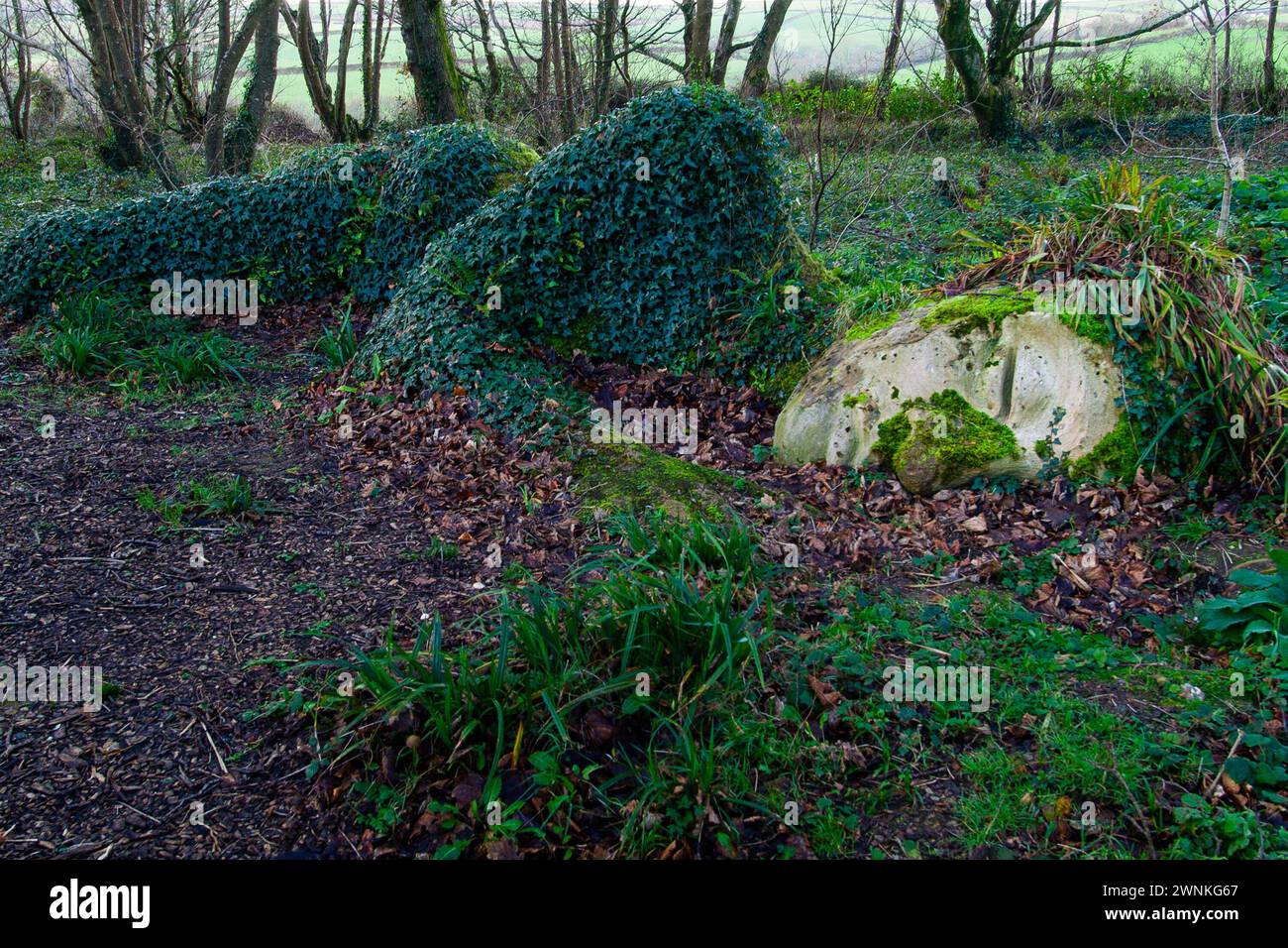 Lost Gardens of Heligan, Cornwall, England, United Kingdom Stock Photo