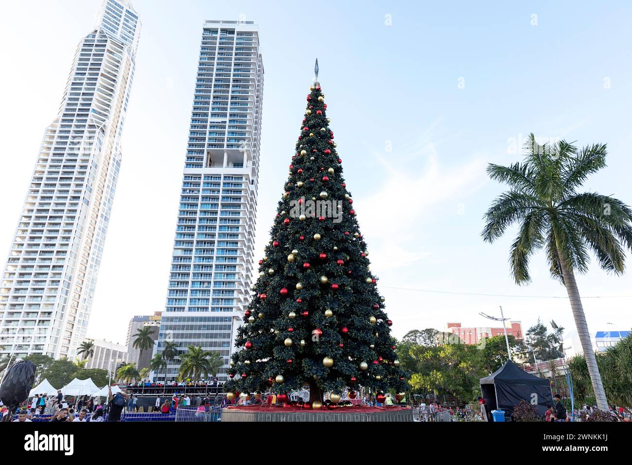 The Christmas tree on seafront of Panama city during Christmas parade, Panama city, Central America Stock Photo