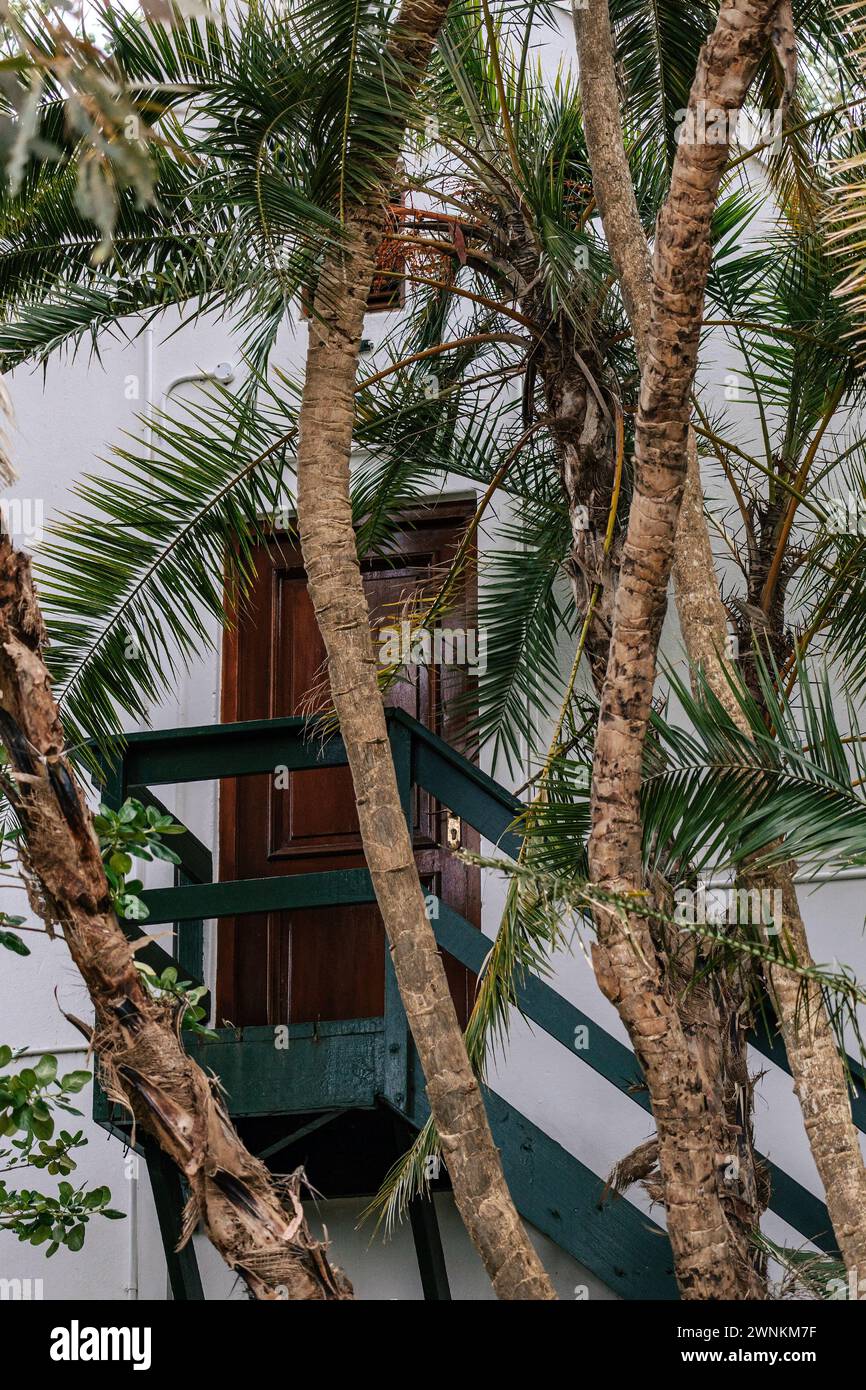 Brown wooden door and green stairs outside. View through palm trees. Additional rear entrance to the villa, hotel room through the garden. White build Stock Photo