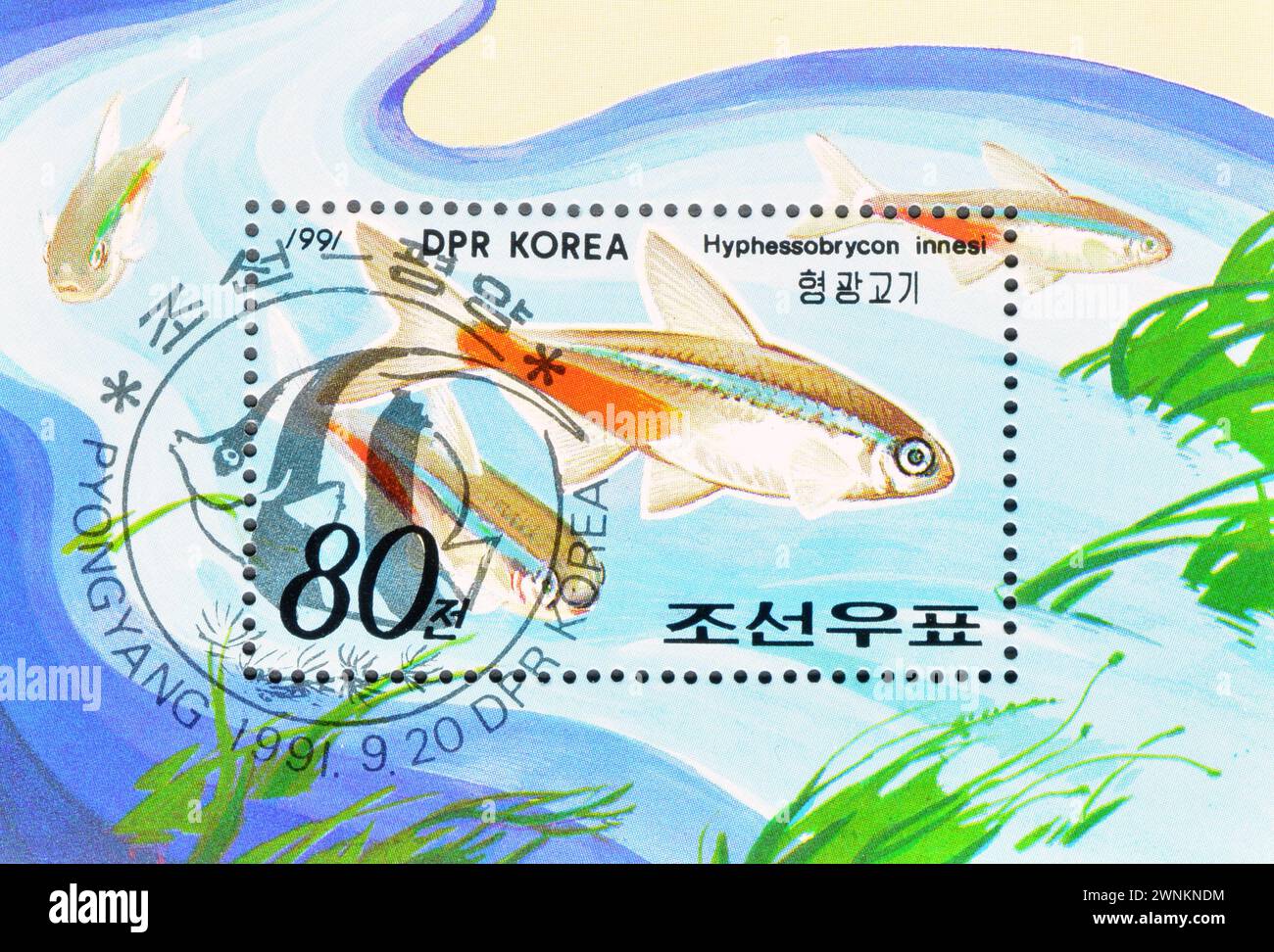 Souvenir Sheet with cancelled postage stamp printed by North Korea, that shows Neon Tetra (Hyphessobrycon innesi), circa 1991. Stock Photo